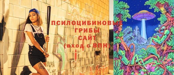 сатива Армянск