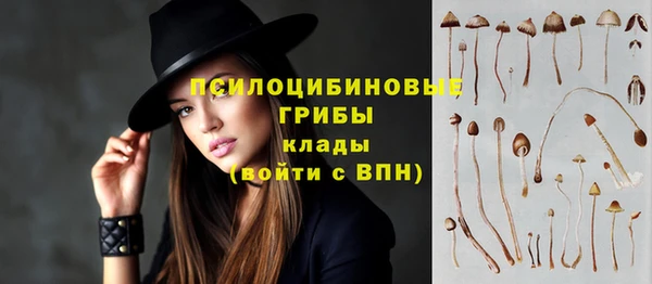 сатива Армянск