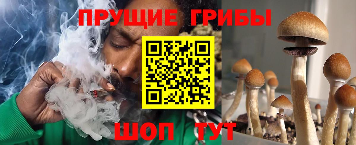 Псилоцибиновые грибы Psilocybine cubensis  Галлюциногенные грибы Psilocybe  Учалы  Вход с VPN 